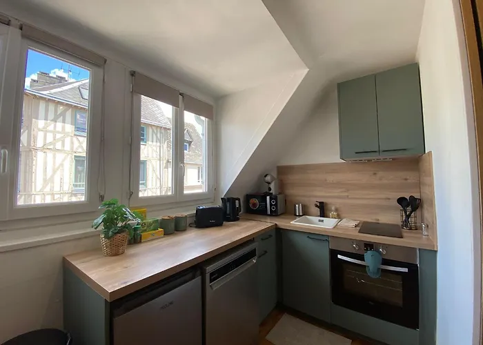 Apartment L'ecrin De Verdure -334 Rouen